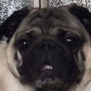 Meet your Posher, Claudia